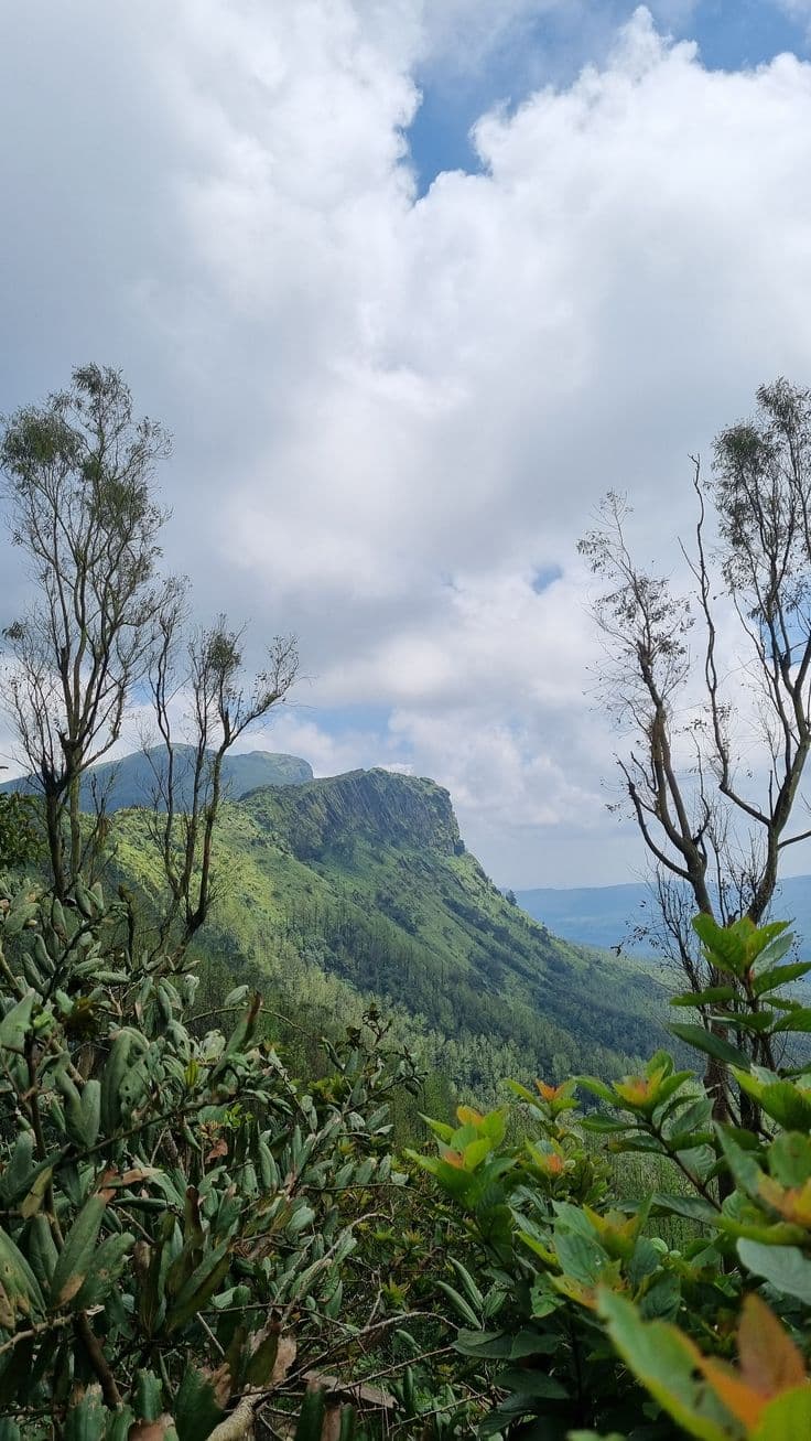 Chikmagalur — photograph 2