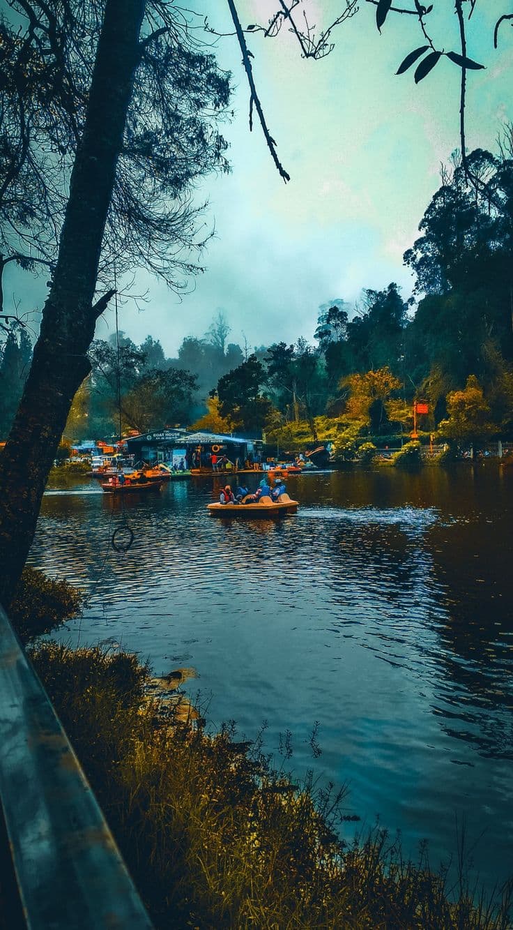 Kodaikanal — photograph 1