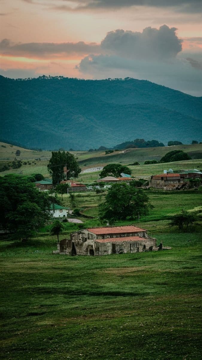 Coorg — photograph 1