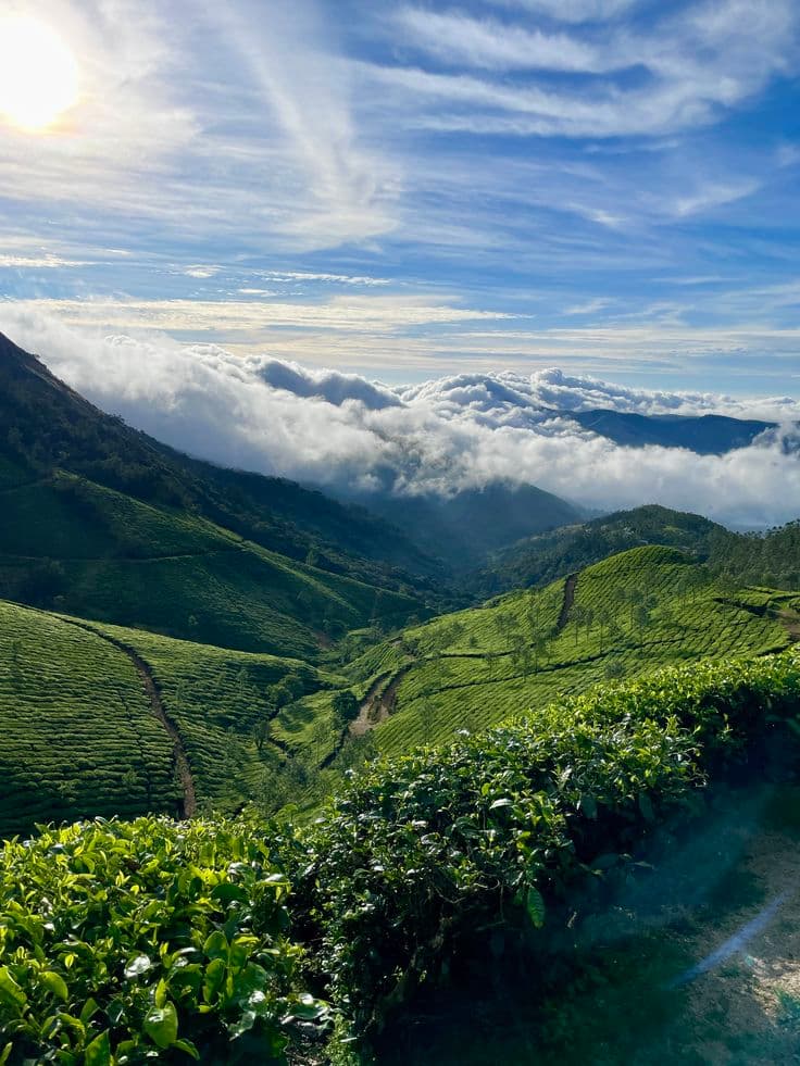 Munnar — photograph 2
