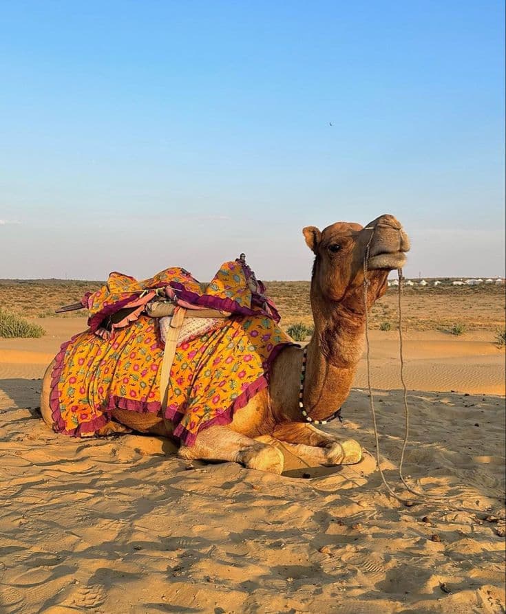 Rajasthan — Rajasthan Heritage & Desert Trail: Mount Abu, Udaipur, Jaisalmer, Jaipur & Jodhpur