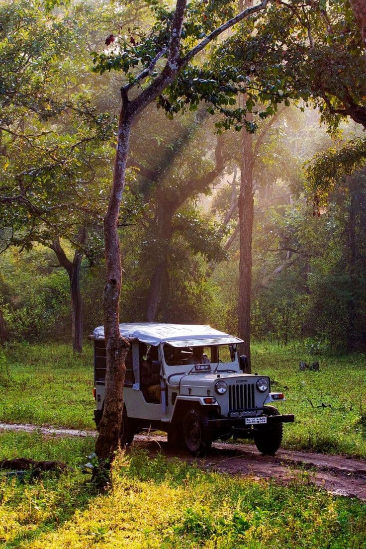 Coorg — photograph 4