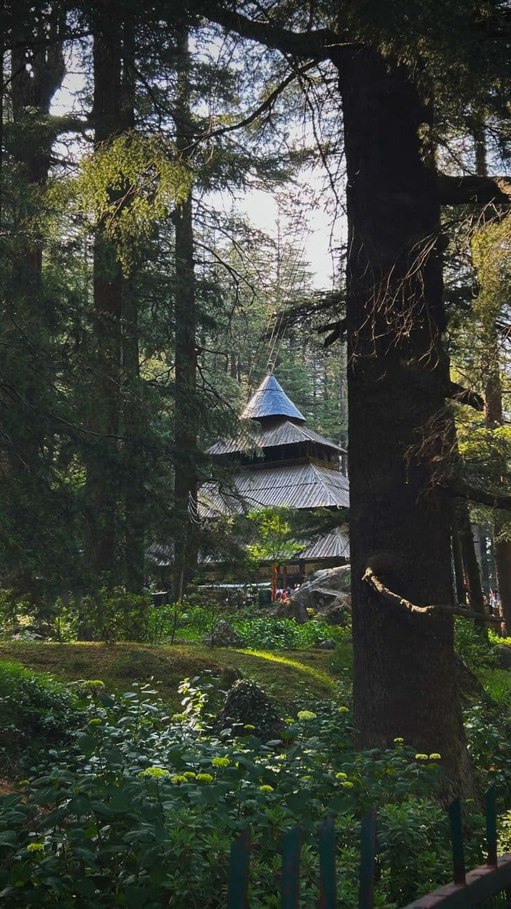 Manali — photograph 1