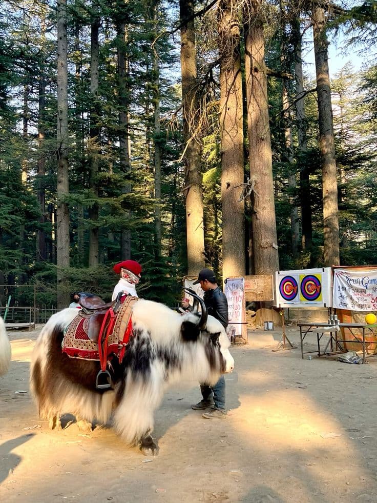 Manali — photograph 3