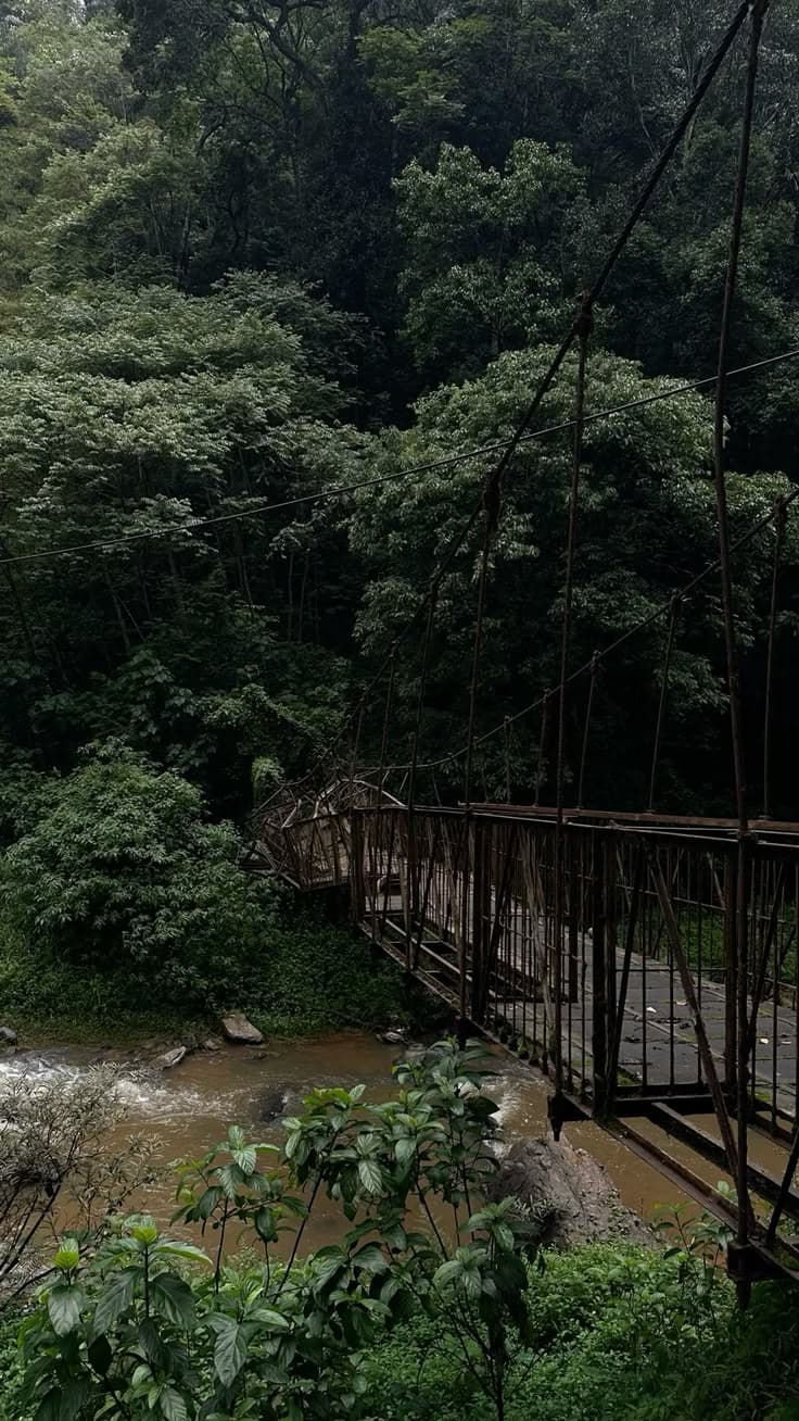 Coorg — photograph 5