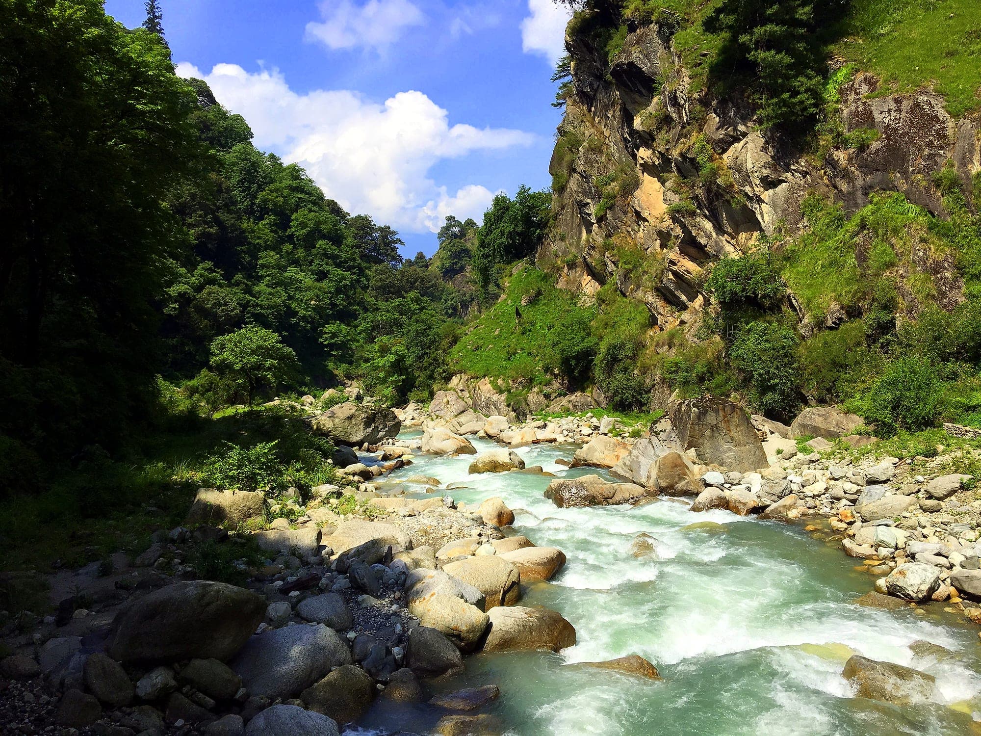 The Tirthan river running through forested slopes in Himachal Pradesh