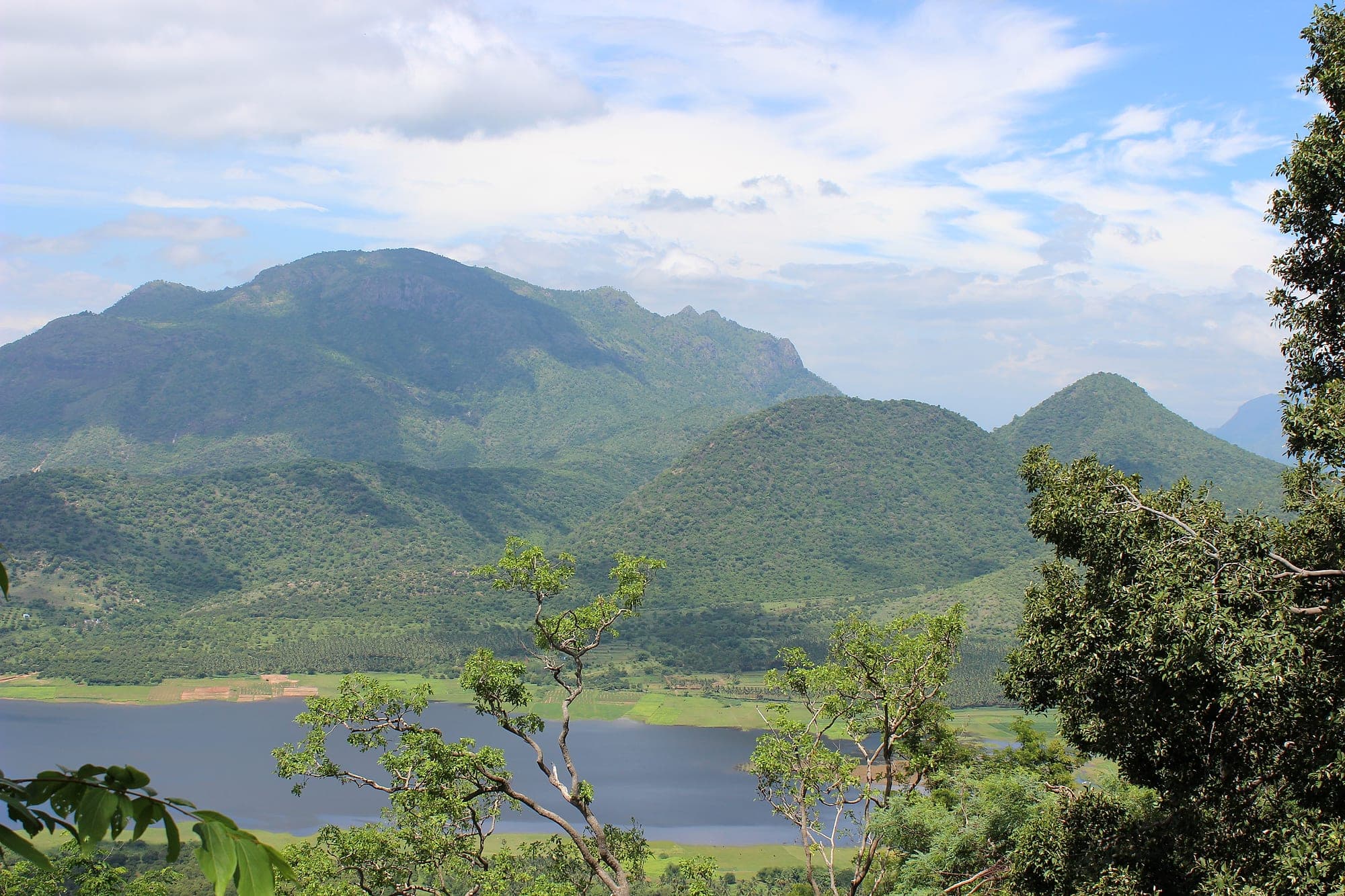 Forested hills and lake around Kodaikanal, Tamil Nadu