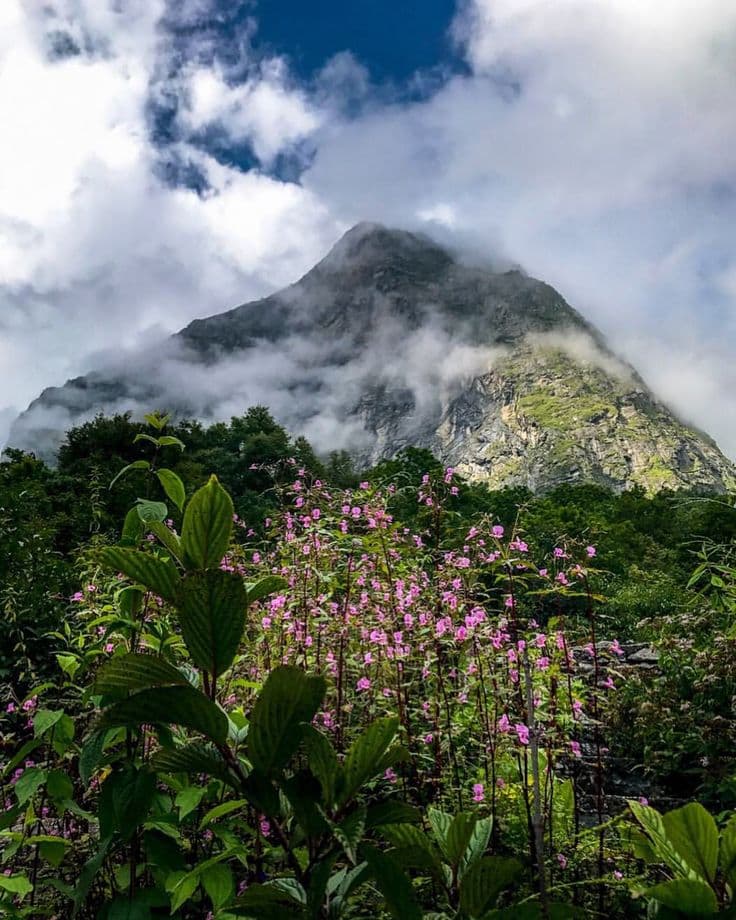 Valley of Flowers — Valley of Flowers: From Flowers to Faith