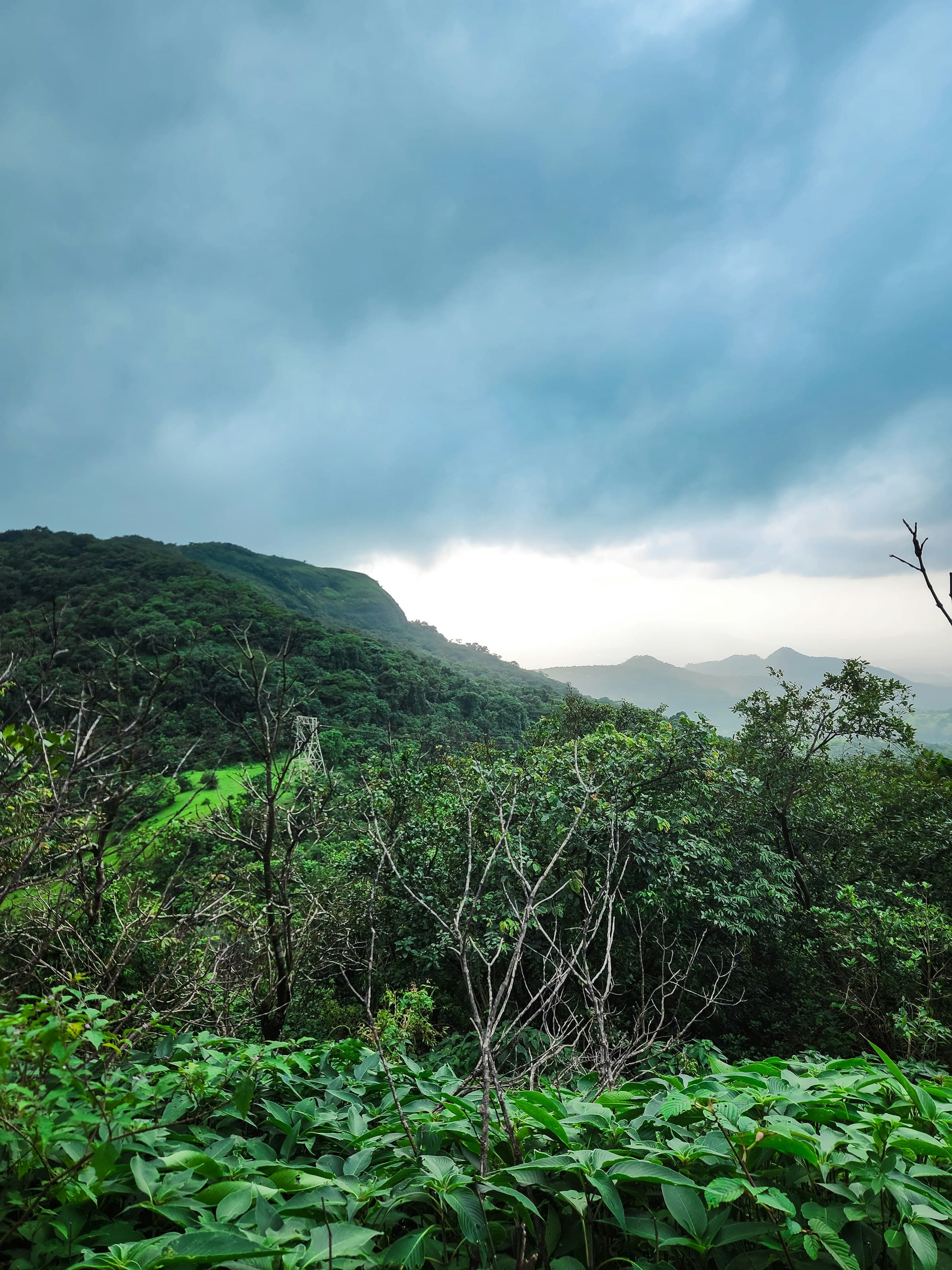 Western Ghats, Chikmagalur — Weekend Getaway Chikmagalur