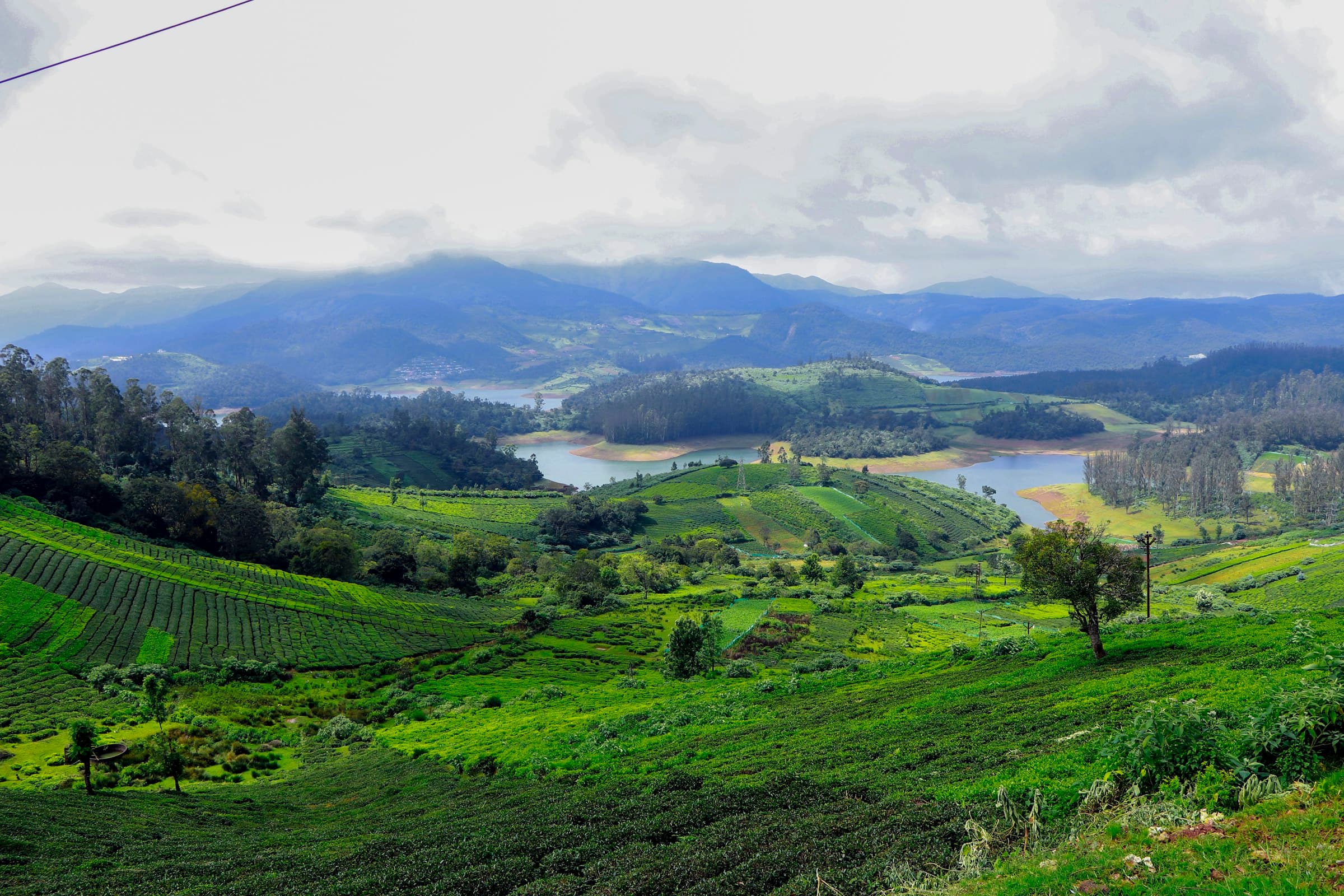 Ooty Lake and tea gardens — Weekend Getaway Ooty & Coonoor